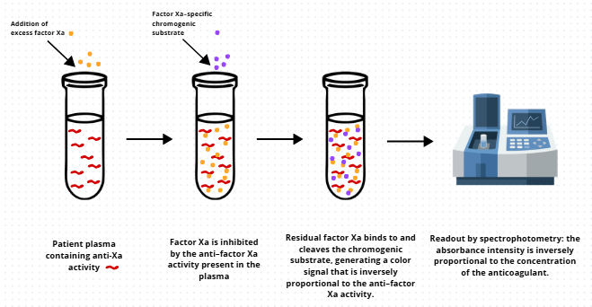Chromogenic assay for anti-Xa activity